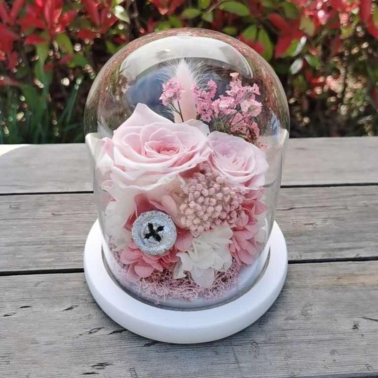 Preserved Rose DIY Craft Kit With Glass Dome